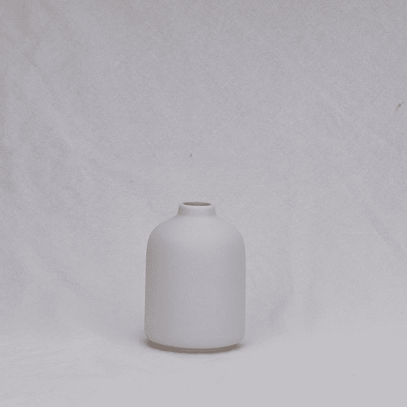 Elegant Ceramic Vase | Inspiring Home Decor