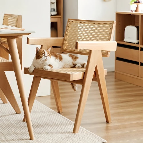 Chandigarh Leisure Rattan Chair with cat lounging, natural rattan seat and solid wood frame in minimalist modern style - orangme.com