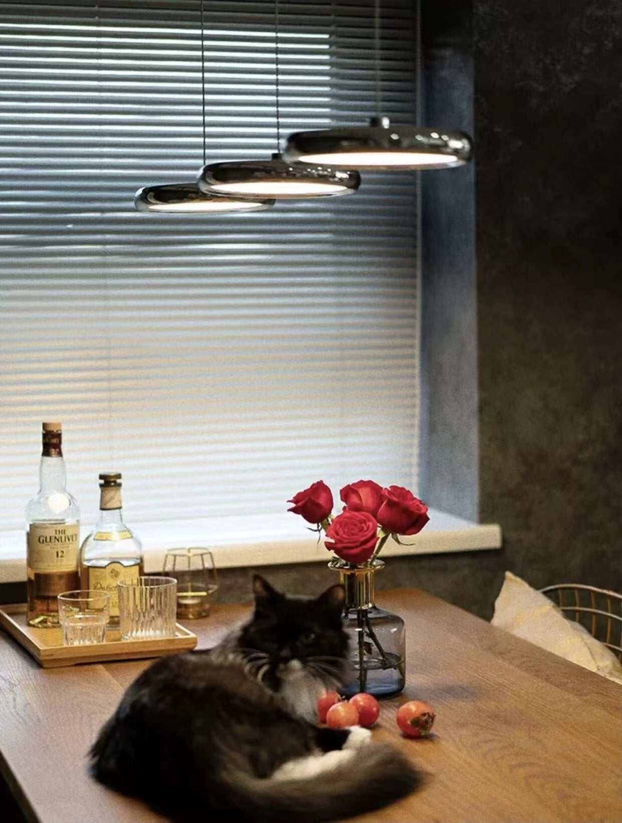 Dining Room Pendant Light, orangme.com