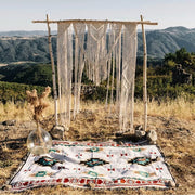 Picnic Blankets and Throws: Your Cozy Companions for a Perfect Al Fresco Feast