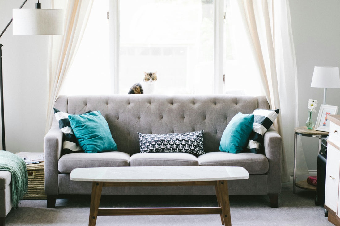 How to Care for Your Sofa: Maintenance Tips for Longevity