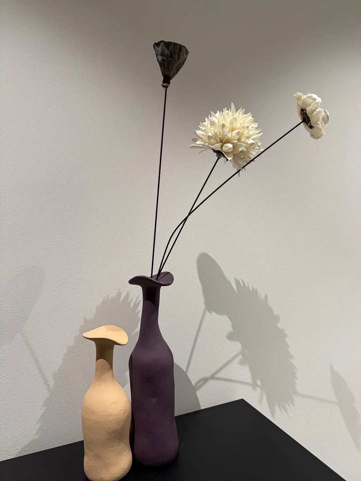 Morandi Creative Ceramic Vase - Minimalist Art Decor for Entryway & Living Room