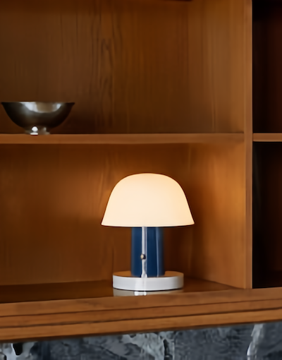 Cordless Mushroom Lamp | Modern Home Decor